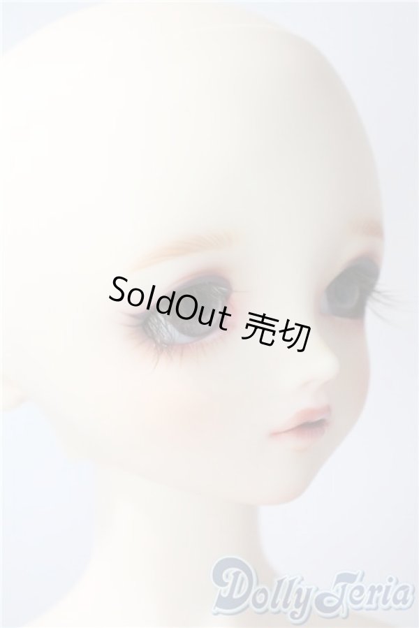 画像3: SDGIRL/シャルロッテ Galerie de l'esprit 2021 秋冬Ver. U-25-07-01-208-TN-ZU (3)