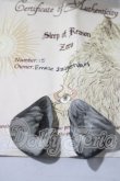 画像3: SLEEP OF REASON/EMESE SZIGETVARI A-26-10-28-1087-TN-ZU (3)