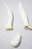 画像1: luts/Senior Delf Bunny Ears and Tail set ver1 Limited A-26-10-28-1077-TN-ZU (1)