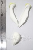 画像2: luts/Senior Delf Bunny Ears and Tail set ver1 Limited A-26-10-28-1077-TN-ZU (2)