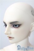 画像4: SD17男の子/Ludo〜the Grey Tail〜灰白狼のルド U-25-07-08-218-KD-ZU (4)