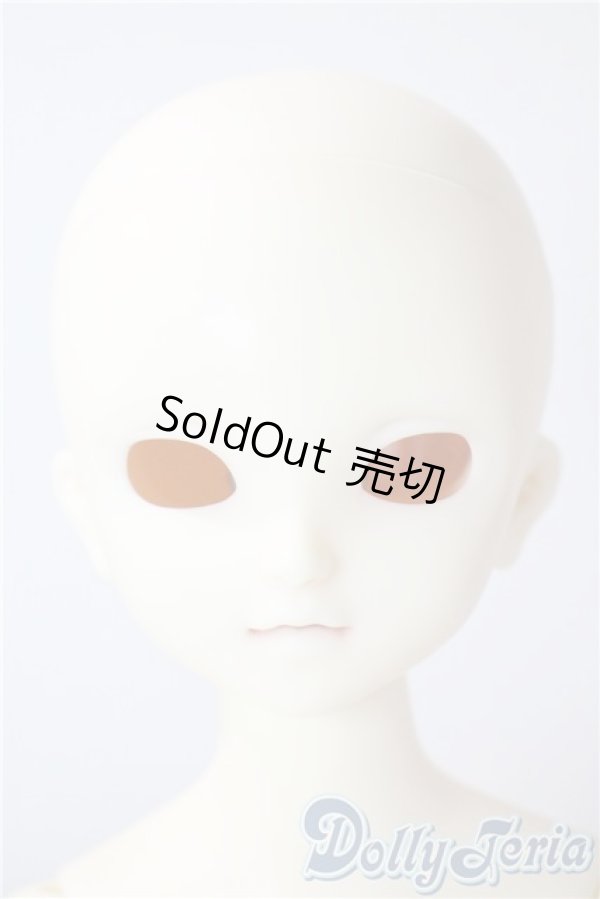 画像1: SDM/F-40　フルチョイス U-25-07-08-212-TN-ZU (1)