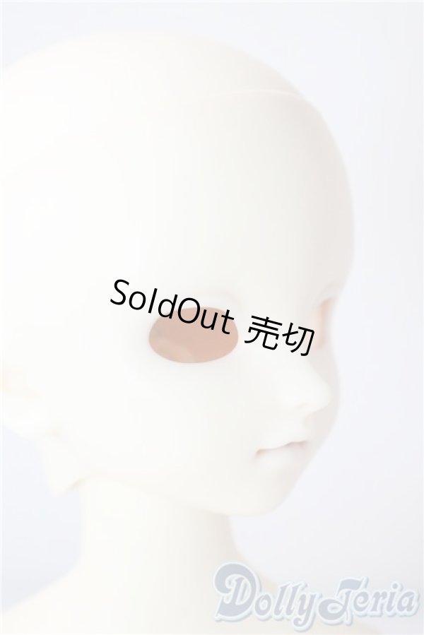 画像2: SDM/F-40　フルチョイス U-25-07-08-212-TN-ZU (2)