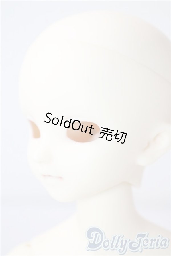 画像3: SDM/F-40　フルチョイス U-25-07-08-212-TN-ZU (3)