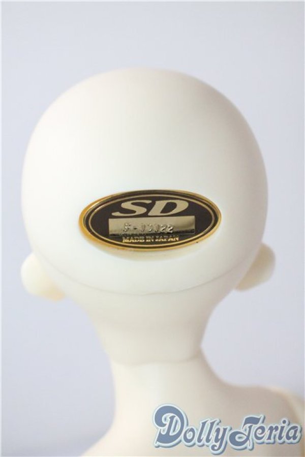 画像4: SDM/F-40　フルチョイス U-25-07-08-212-TN-ZU (4)