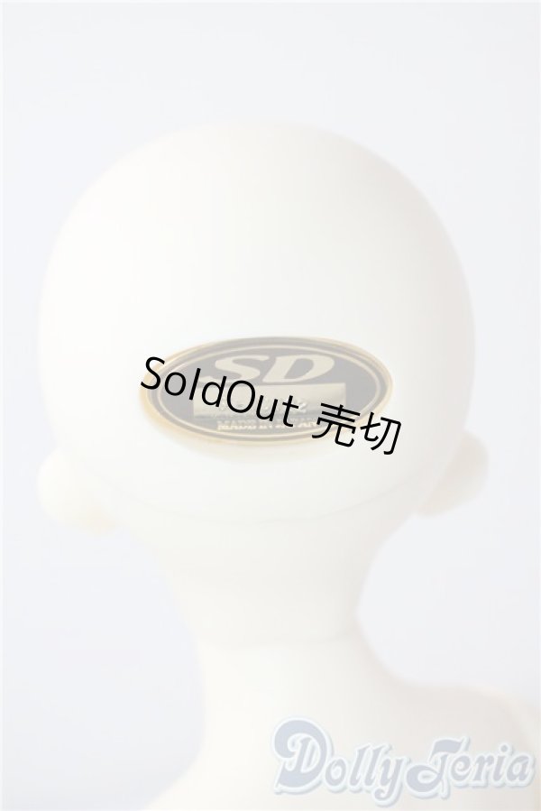 画像4: SDM/F-40　フルチョイス U-25-07-08-212-TN-ZU (4)