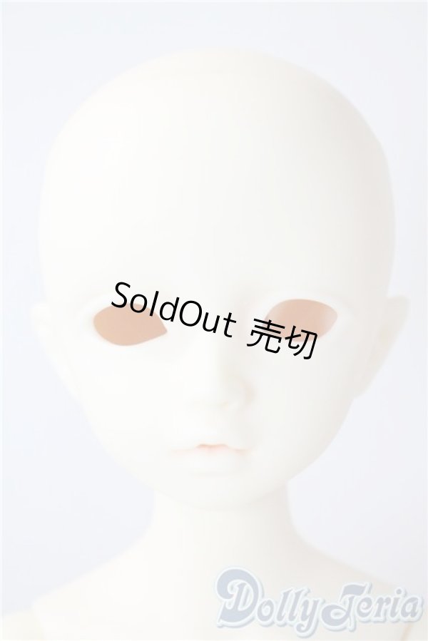 画像1: SDM/F-20：コーディネートモデル U-25-07-08-213-TN-ZU (1)