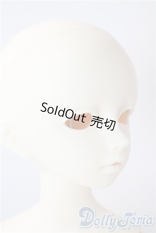 画像2: SDM/F-20：コーディネートモデル U-25-07-08-213-TN-ZU (2)