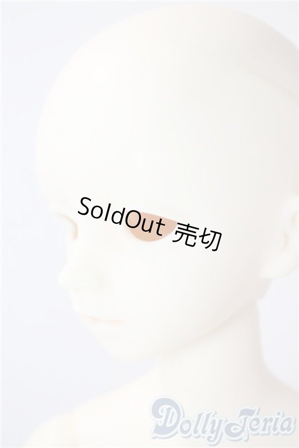 画像3: SDM/F-20：コーディネートモデル U-25-07-08-213-TN-ZU (3)