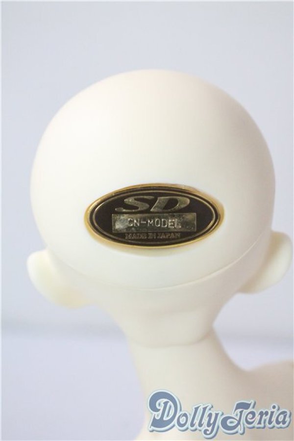 画像4: SDM/F-20：コーディネートモデル U-25-07-08-213-TN-ZU (4)