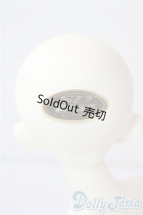 画像4: SDM/F-20：コーディネートモデル U-25-07-08-213-TN-ZU (4)