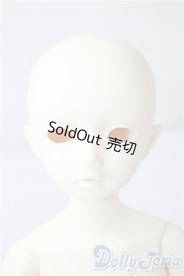 画像1: SDM/F-20：コーディネートモデル U-25-07-15-211-TN-ZU (1)