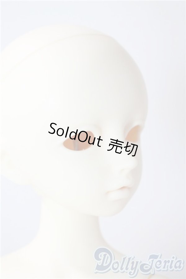 画像2: SDM/F-20：コーディネートモデル U-25-07-15-211-TN-ZU (2)