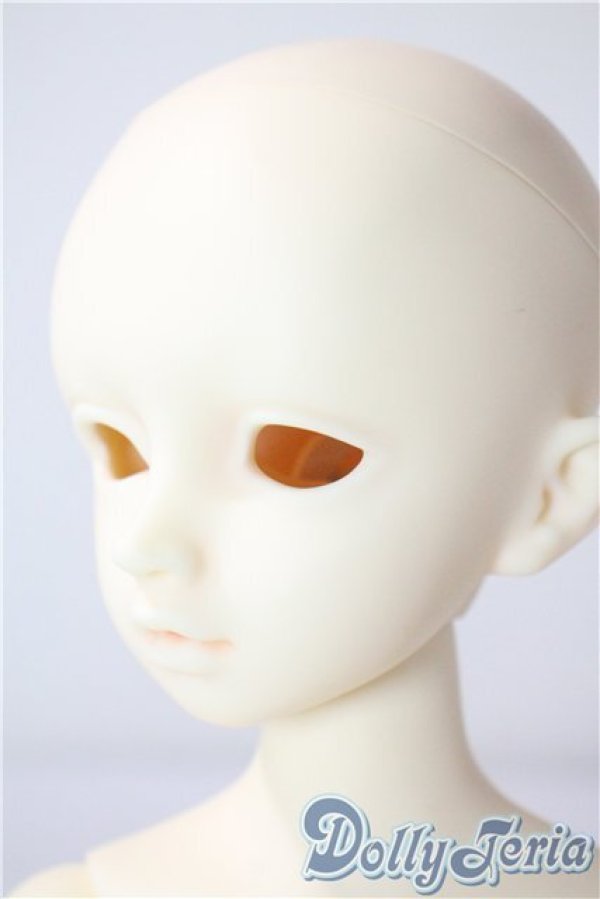 画像3: SDM/F-20：コーディネートモデル U-25-07-15-211-TN-ZU (3)