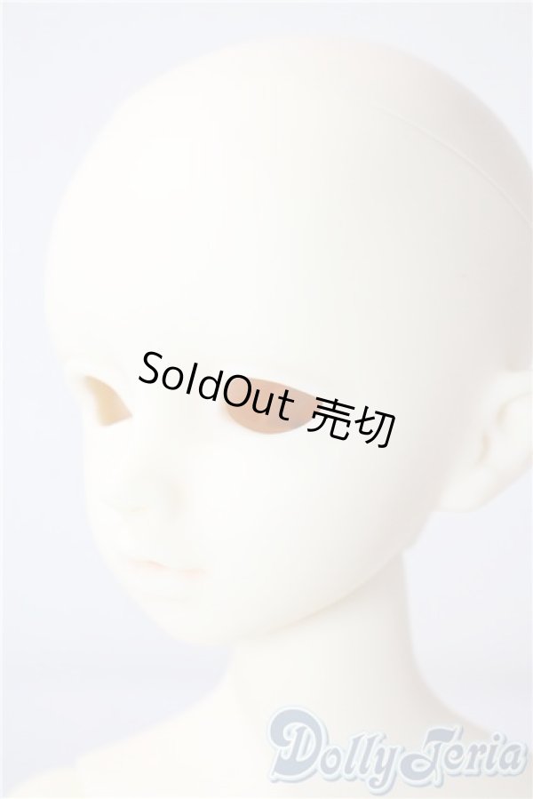 画像3: SDM/F-20：コーディネートモデル U-25-07-15-211-TN-ZU (3)