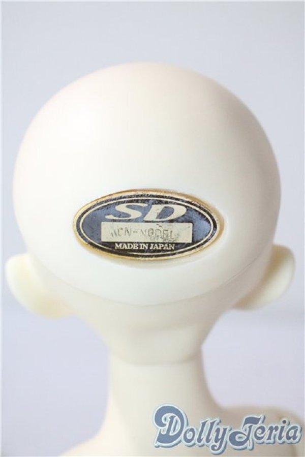 画像4: SDM/F-20：コーディネートモデル U-25-07-15-211-TN-ZU (4)