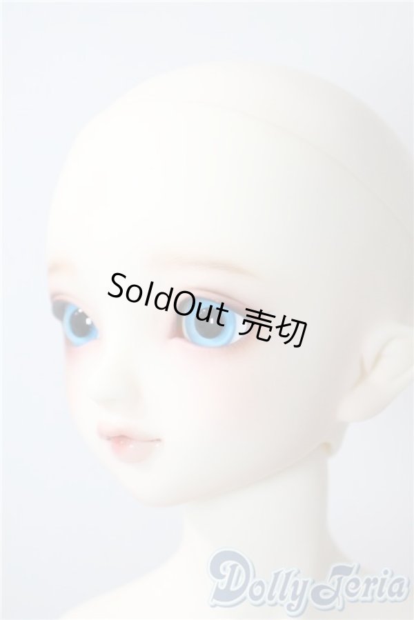 画像3: SD女の子/F-60:フルチョイス U-25-07-15-219-TN-ZU (3)