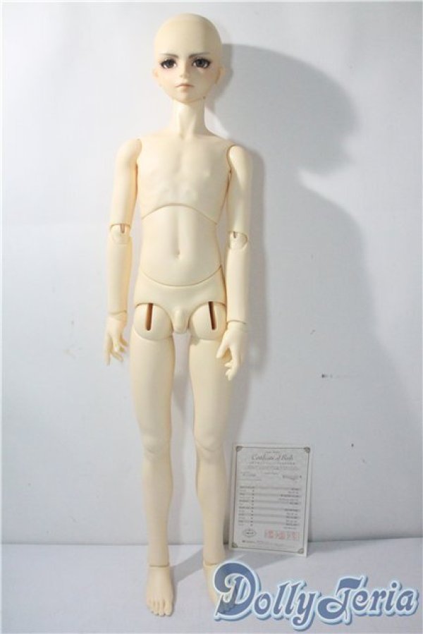 画像5: SDGrB/フルチョイスF-55 U-25-07-22-211-TO-ZU (5)