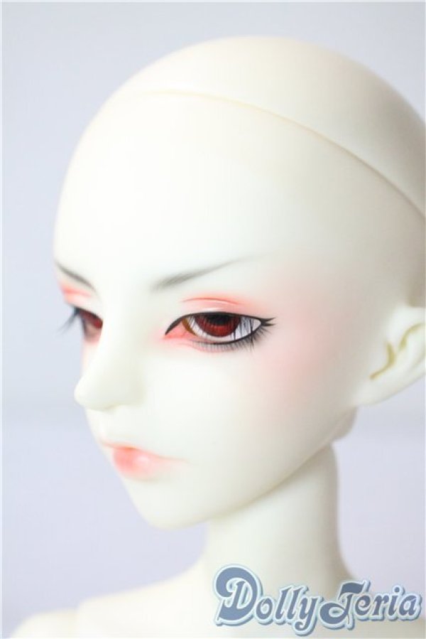 dollzone/hid A-25-07-30-1100-TO-ZU - ドーリーテリア