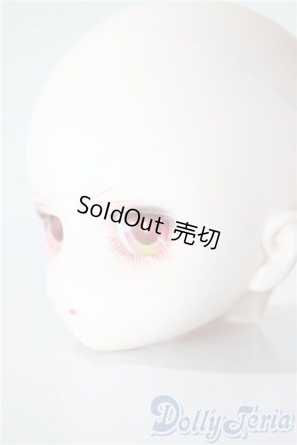 画像3: DD/DDH-29　カスタムメイクヘッド A-25-07-30-1094-NY-ZU (3)