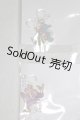 画像: SDM＆MSD/OF:小物 U-25-07-29-139-TN-ZU
