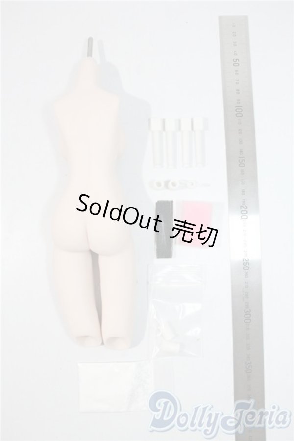 画像2: MDD/いもねこ様製:シリコン製やわらか一体型パーツ 普通体型 A-25-08-13-1045-TN-ZU (2)