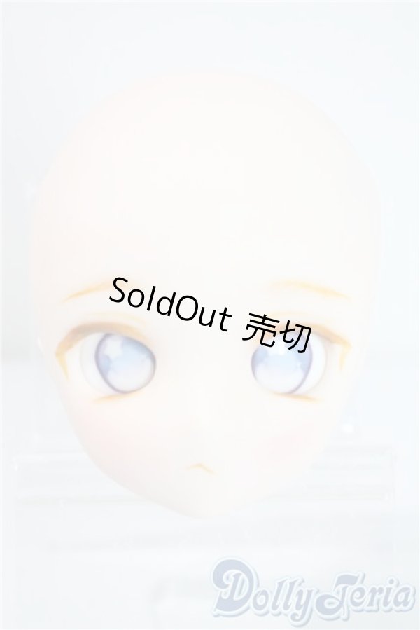 画像1: DD/DDH-28:カスタムメイクヘッド A-25-08-13-1042-TN-ZU (1)