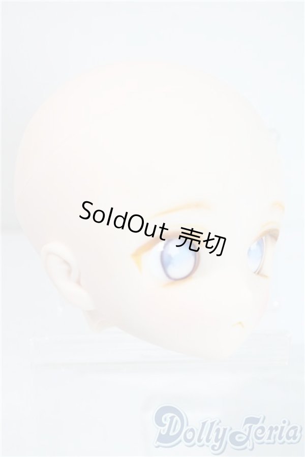 画像3: DD/DDH-28:カスタムメイクヘッド A-25-08-13-1042-TN-ZU (3)