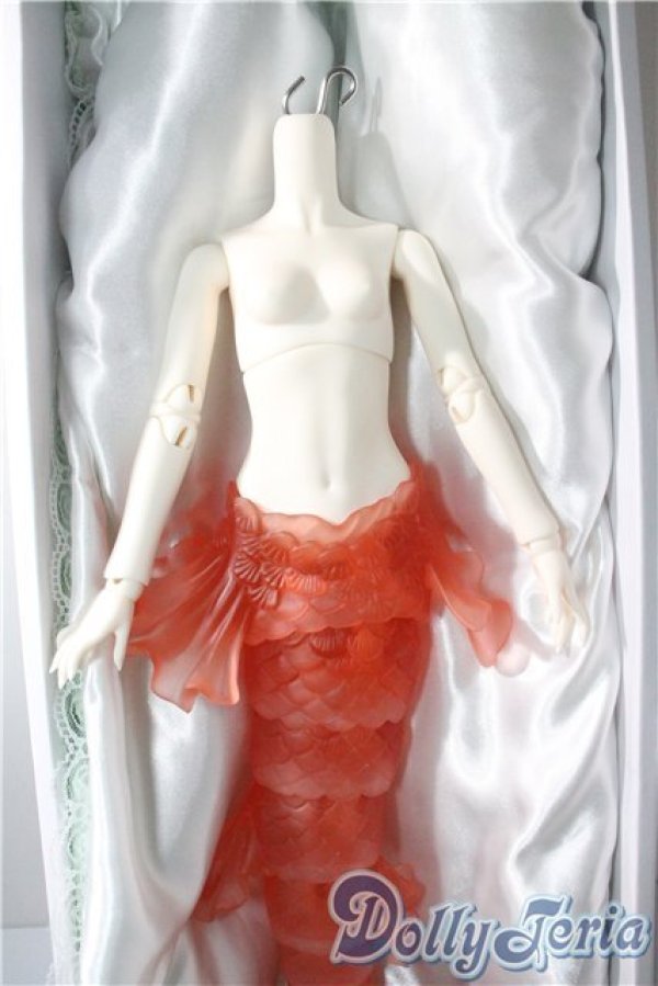 画像3: Gem of Doll/1/4人魚ボディ A-25-08-13-1098-TO-ZU (3)