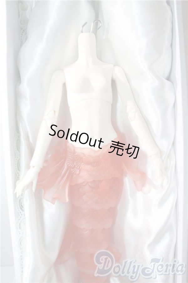 画像3: Gem of Doll/1/4人魚ボディ A-25-08-13-1098-TO-ZU (3)