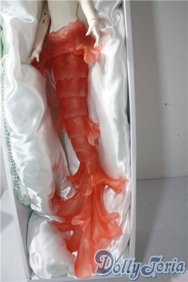 画像5: Gem of Doll/1/4人魚ボディ A-25-08-13-1098-TO-ZU (5)