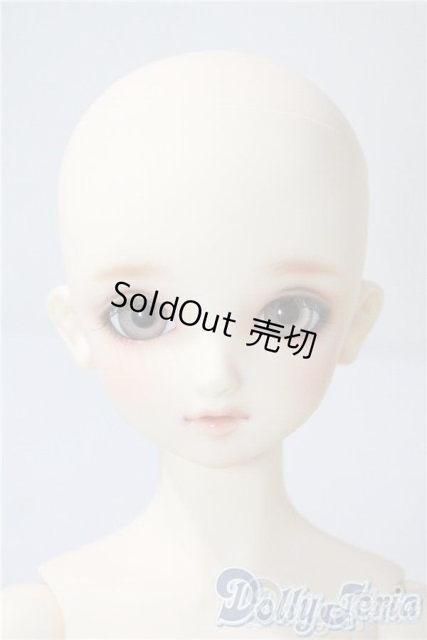 画像2: SD/まい：スタンダードモデル U-25-08-05-220-TO-ZU (2)