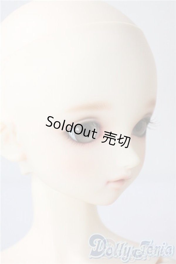 画像3: SD/まい：スタンダードモデル U-25-08-05-220-TO-ZU (3)