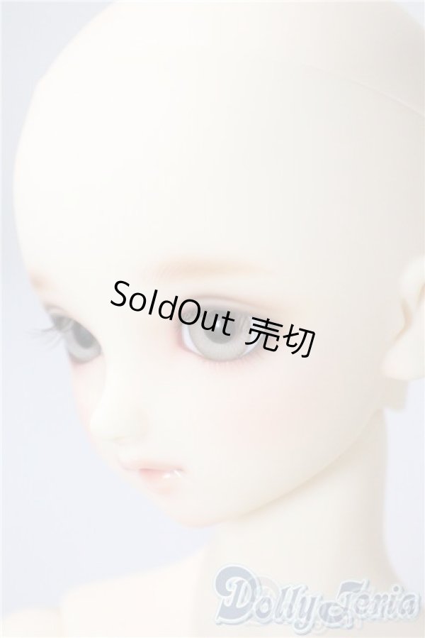 画像4: SD/まい：スタンダードモデル U-25-08-05-220-TO-ZU (4)