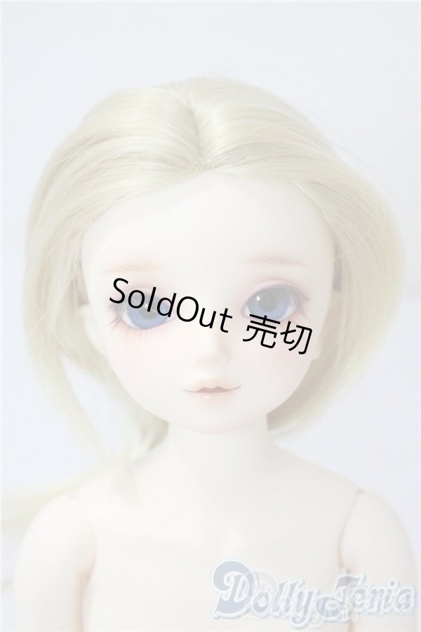 画像1: SDM/サキ　スタンダードモデル U-25-08-05-218-TN-ZU (1)