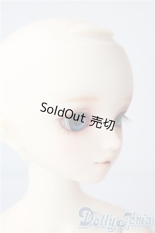 画像3: SDM/サキ　スタンダードモデル U-25-08-05-218-TN-ZU (3)