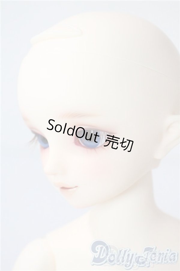 画像4: SDM/サキ　スタンダードモデル U-25-08-05-218-TN-ZU (4)