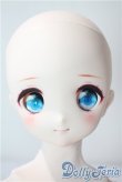 画像1: MDD/ドリームチョイス DC-H-22 A-25-08-13-1088-TN-ZU (1)