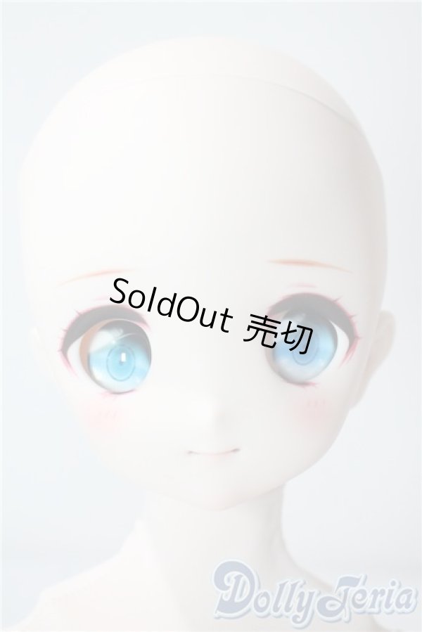 画像1: MDD/ドリームチョイス DC-H-22 A-25-08-13-1088-TN-ZU (1)