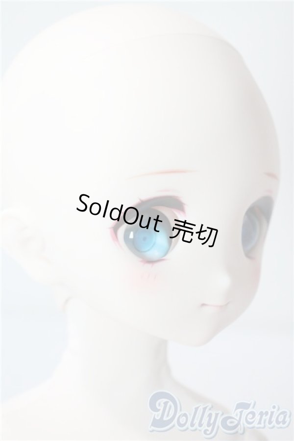 画像2: MDD/ドリームチョイス DC-H-22 A-25-08-13-1088-TN-ZU (2)