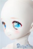 画像3: MDD/ドリームチョイス DC-H-22 A-25-08-13-1088-TN-ZU (3)