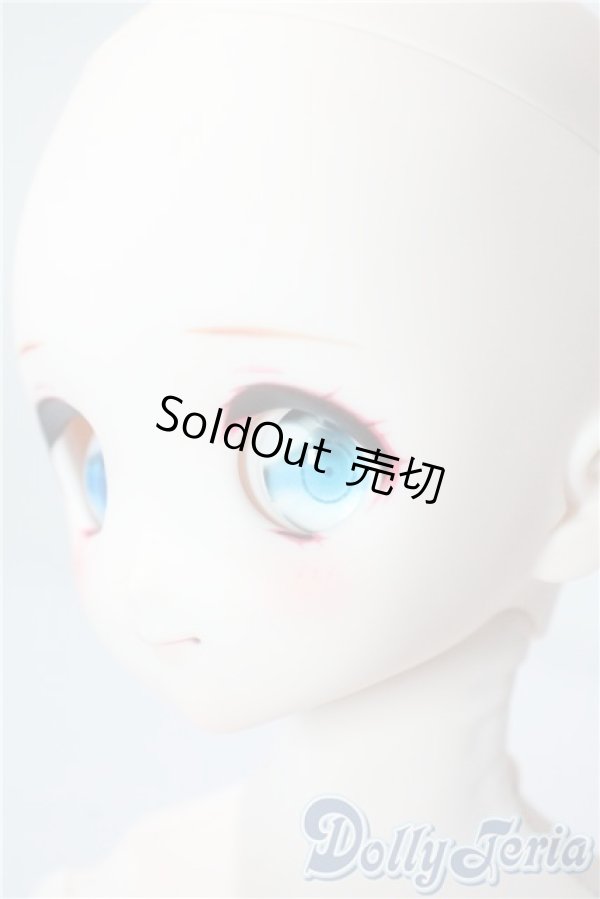 画像3: MDD/ドリームチョイス DC-H-22 A-25-08-13-1088-TN-ZU (3)