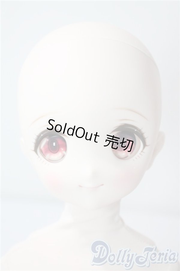 画像1: MDD/ドリームチョイス DC-H-22 A-25-08-13-1090-TN-ZU (1)