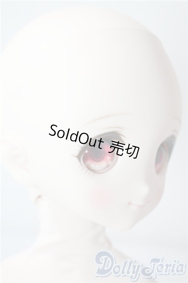 画像2: MDD/ドリームチョイス DC-H-22 A-25-08-13-1090-TN-ZU (2)