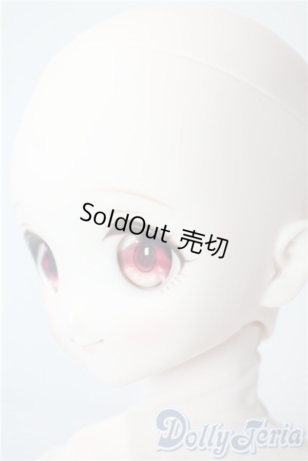 画像3: MDD/ドリームチョイス DC-H-22 A-25-08-13-1090-TN-ZU (3)