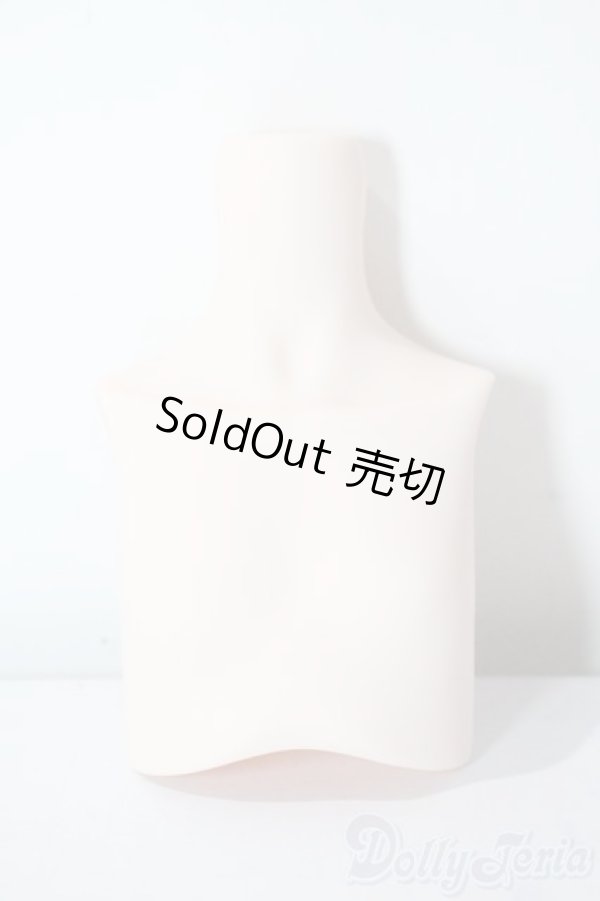 画像1: MDD/胸パーツ A-25-08-20-1070-TN-ZU (1)