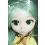 画像: プーリップ/金糸雀 Y-25-08-06-018-TN-ZY