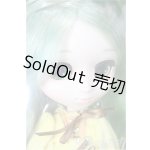 画像: プーリップ/金糸雀 A-26-02-11-398-TN-ZA