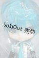 画像: Collection Doll/初音ミク Y-26-02-04-281-TN-ZY
