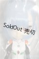 画像: colection doll/エヴァンゲリオン 綾波レイ S-26-04-19-475-TN-ZS